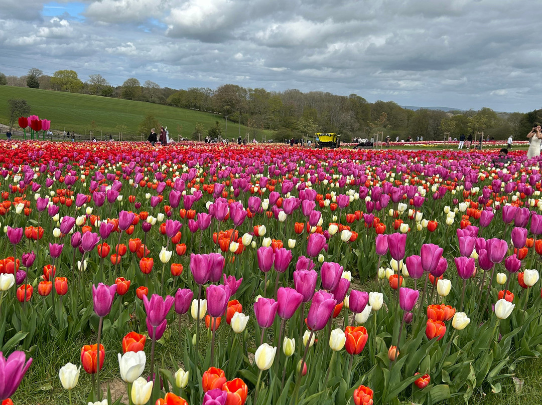 Tulleys-Turners Hill必去景点