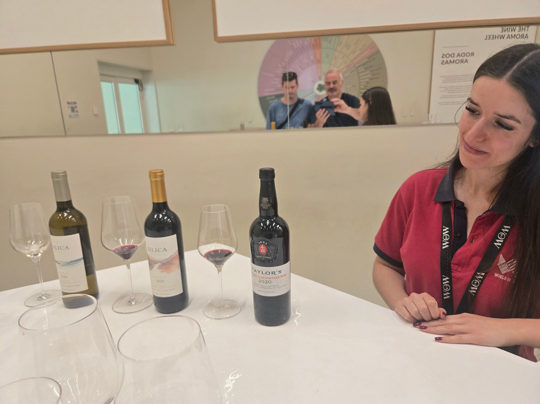 The Wine Experience Museum-加亚新城必去景点