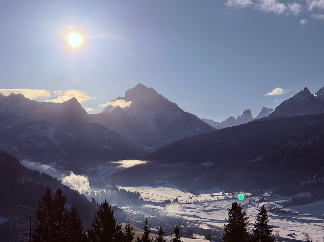 Hotel Alpen Tesitin主图