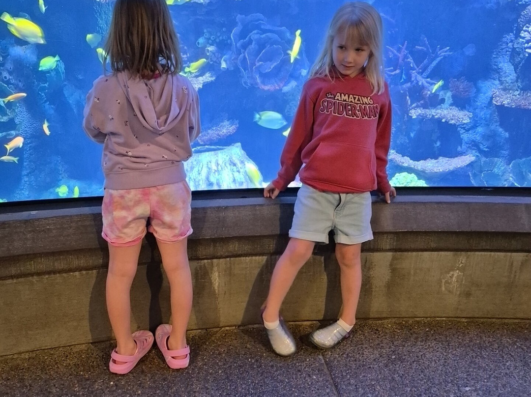 Seaside Aquarium-锡赛德必去景点