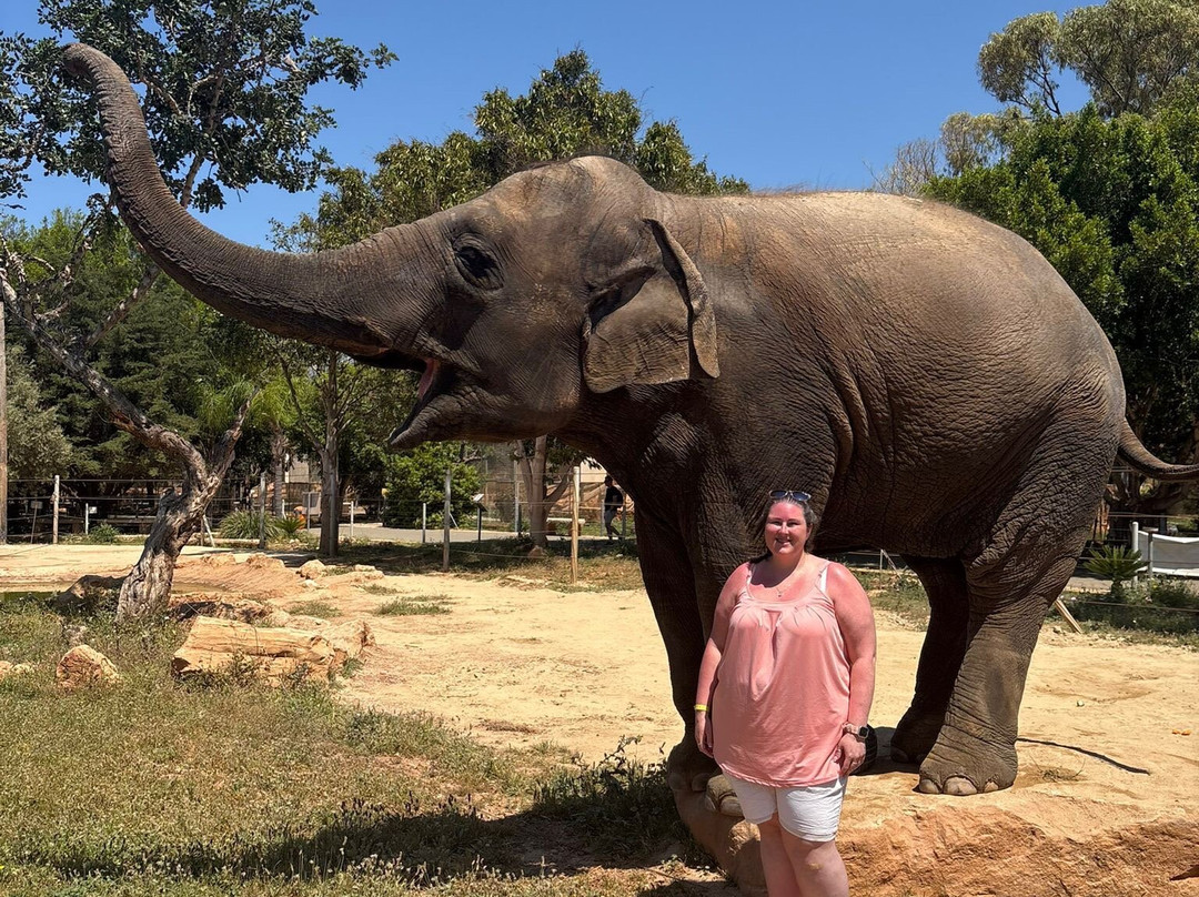 Pafos Zoo-帕福斯必去景点