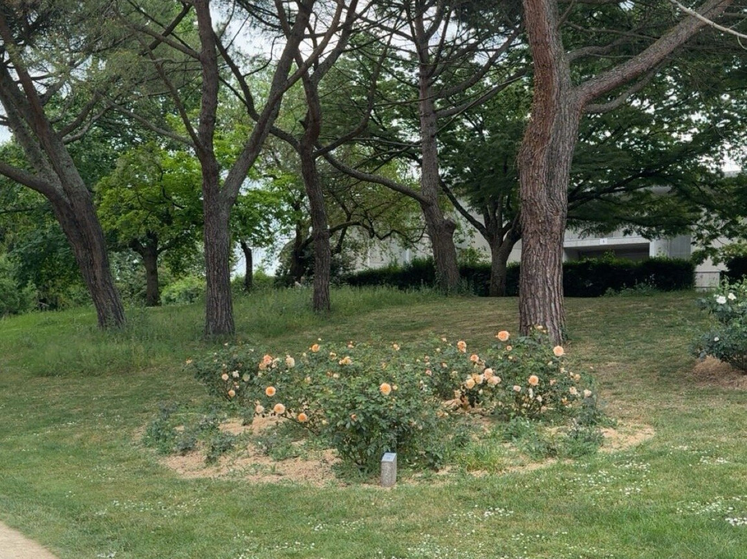 Parc floral de la Roseraie-普瓦捷必去景点