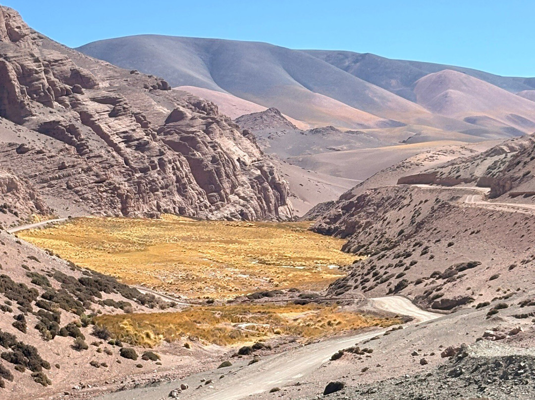 Laguna Brava Provincial Reserve-拉里奥哈必去景点