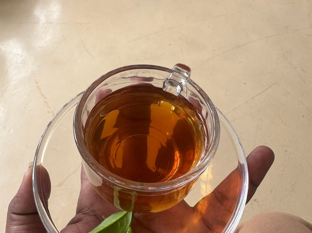 茶趣工坊 · 黛玛系列主图