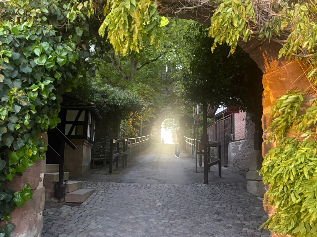 Burg Hohenbeilstein-Beilstein必去景点