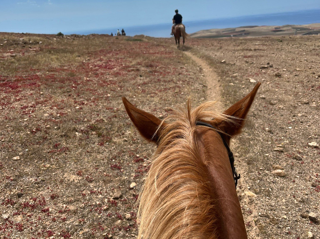 Lanzarote a Caballo-兰萨罗特必去景点