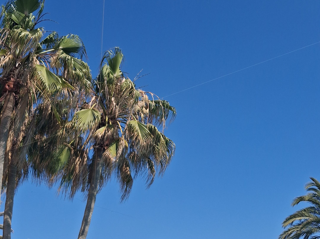 Iberostar Waves Founty Beach -All Inclusive主图