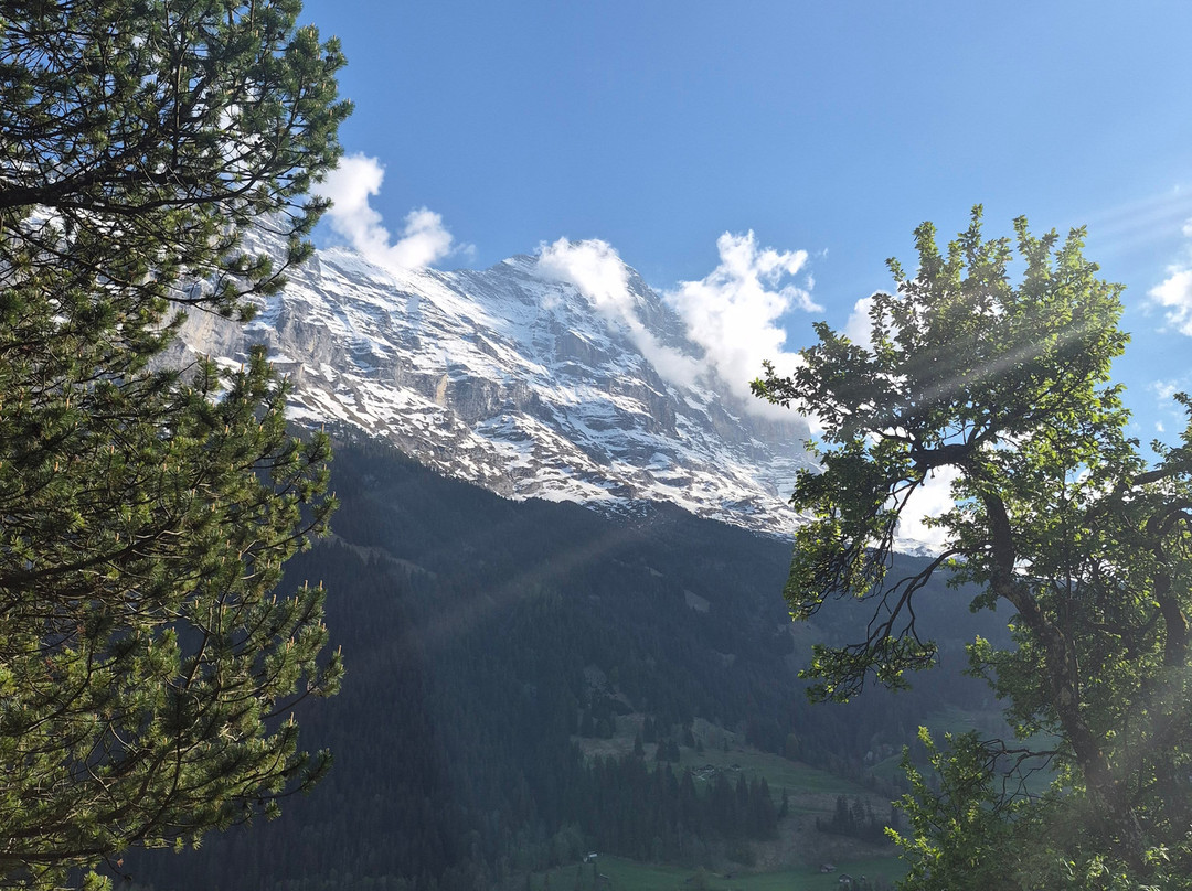 楚艮酒店主图