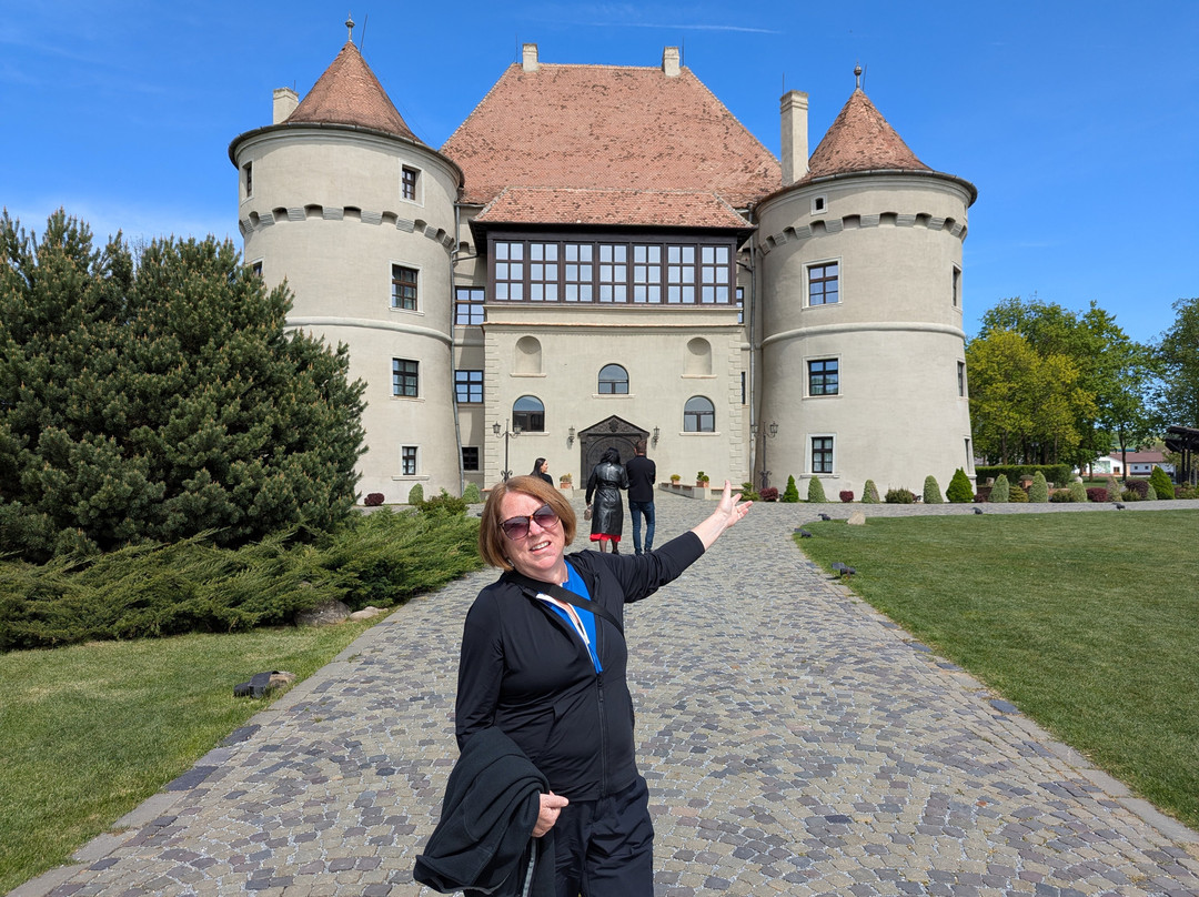 True Romania Tours-阿拉德必去景点