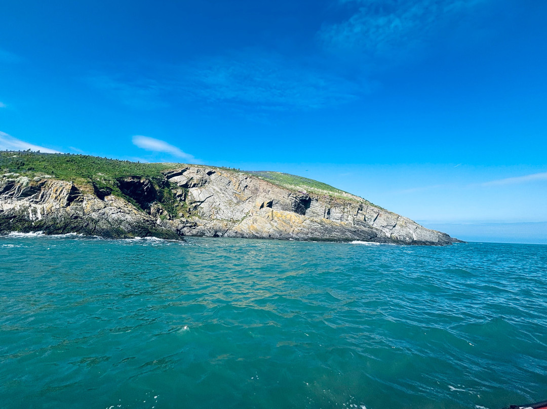A Bay To Remember Wildlife Boat Trips-St. Dogmaels必去景点