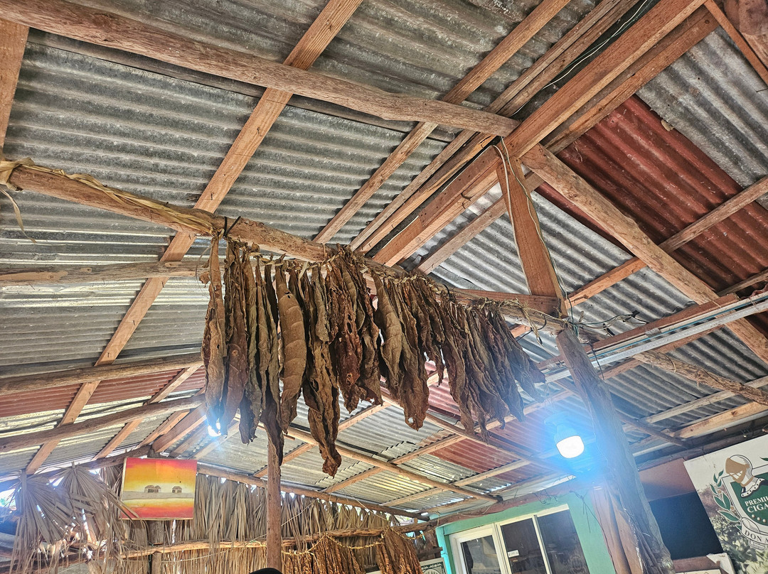 Monkey Home Puerto Plata-普拉塔港必去景点