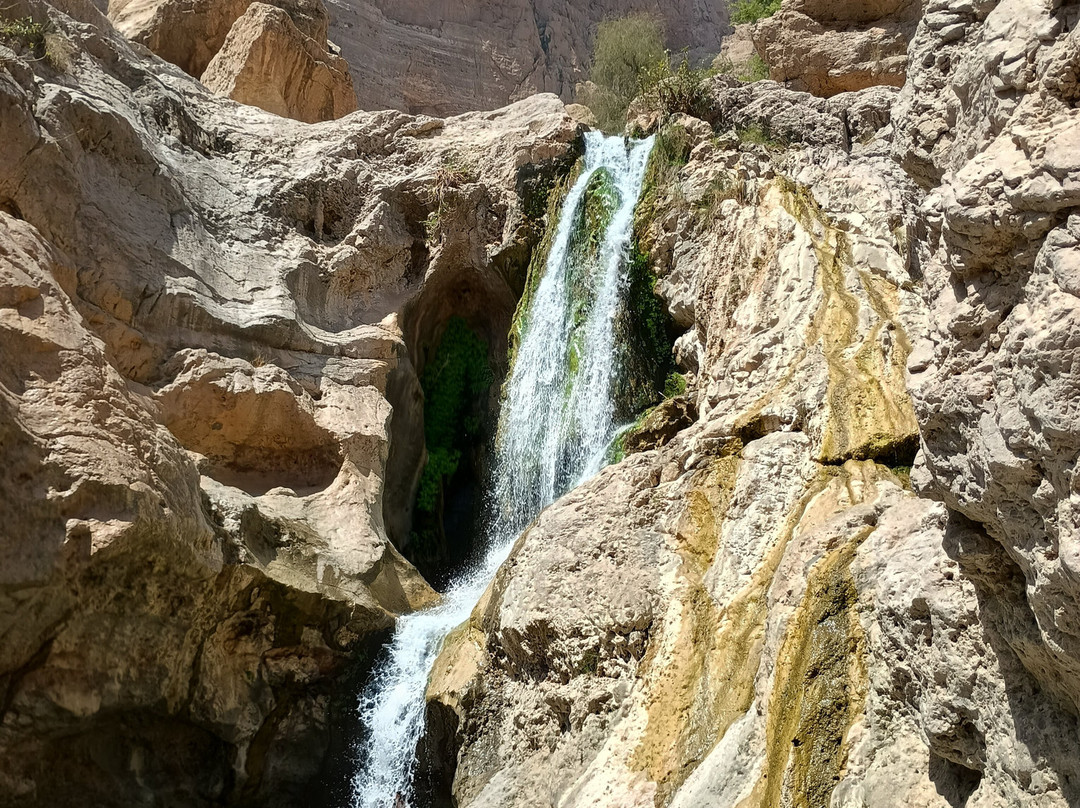 Desert Camels Adventure Tours-尼日瓦必去景点