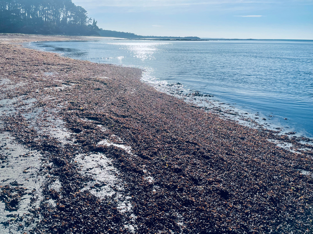 Shoreham Beach-Shoreham必去景点