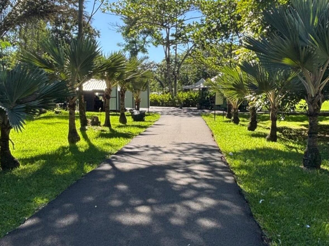 Paradisio Excursions Ile Maurice-大湾必去景点