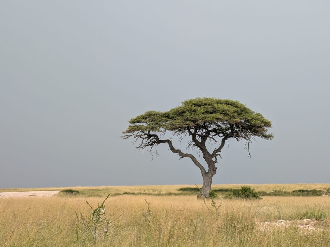 Nature Travel Namibia-温德和克必去景点