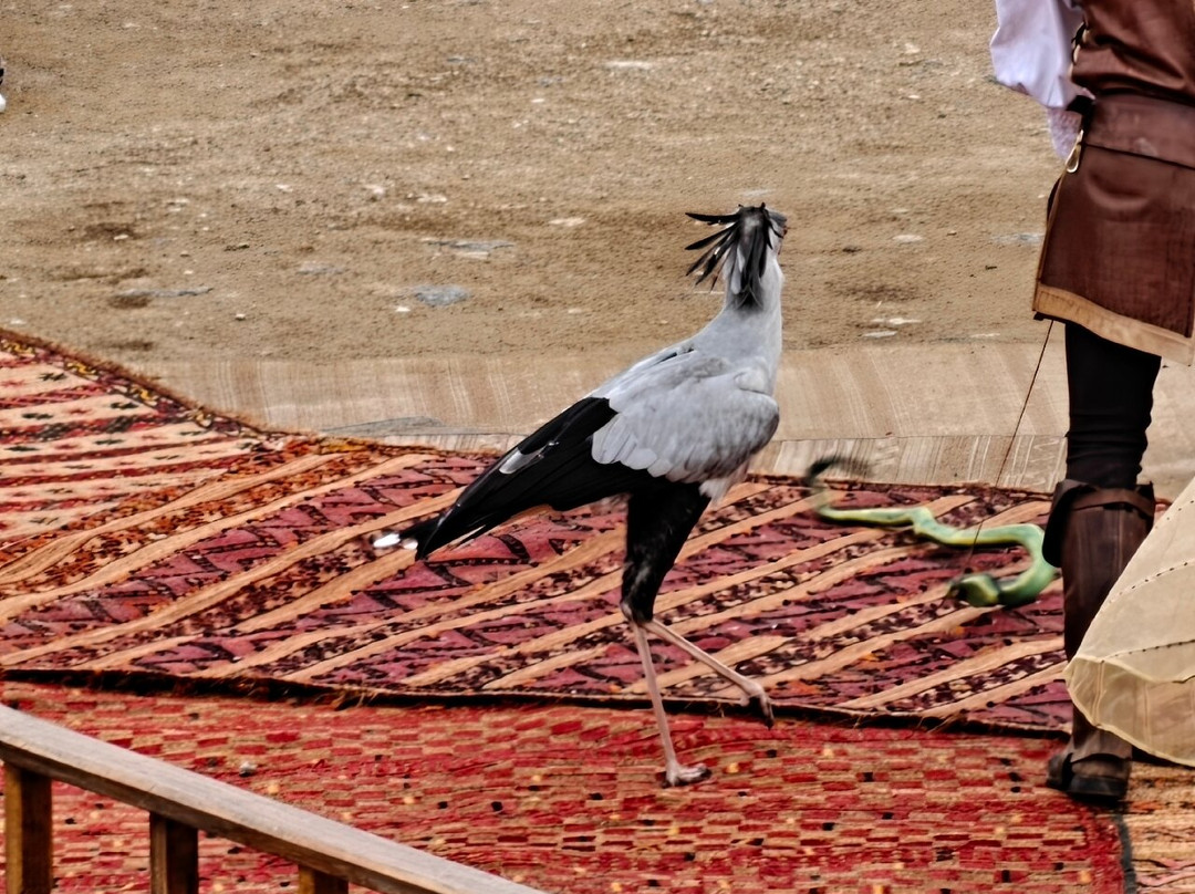 Puy Du Fou España-托莱多必去景点