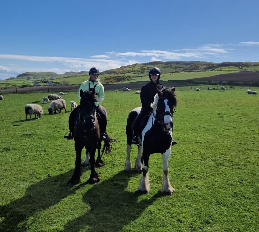 Bespoke Equestrian Ireland-都柏林必去景点