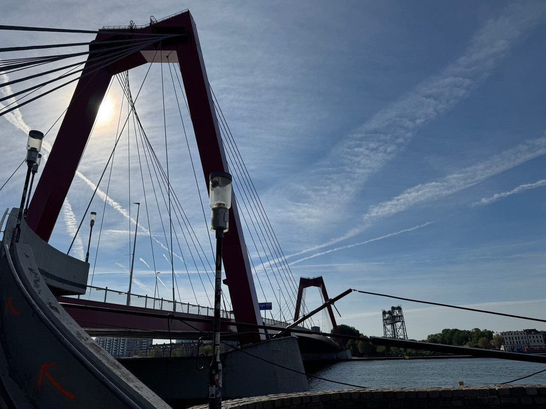 Willemsbrug-鹿特丹必去景点