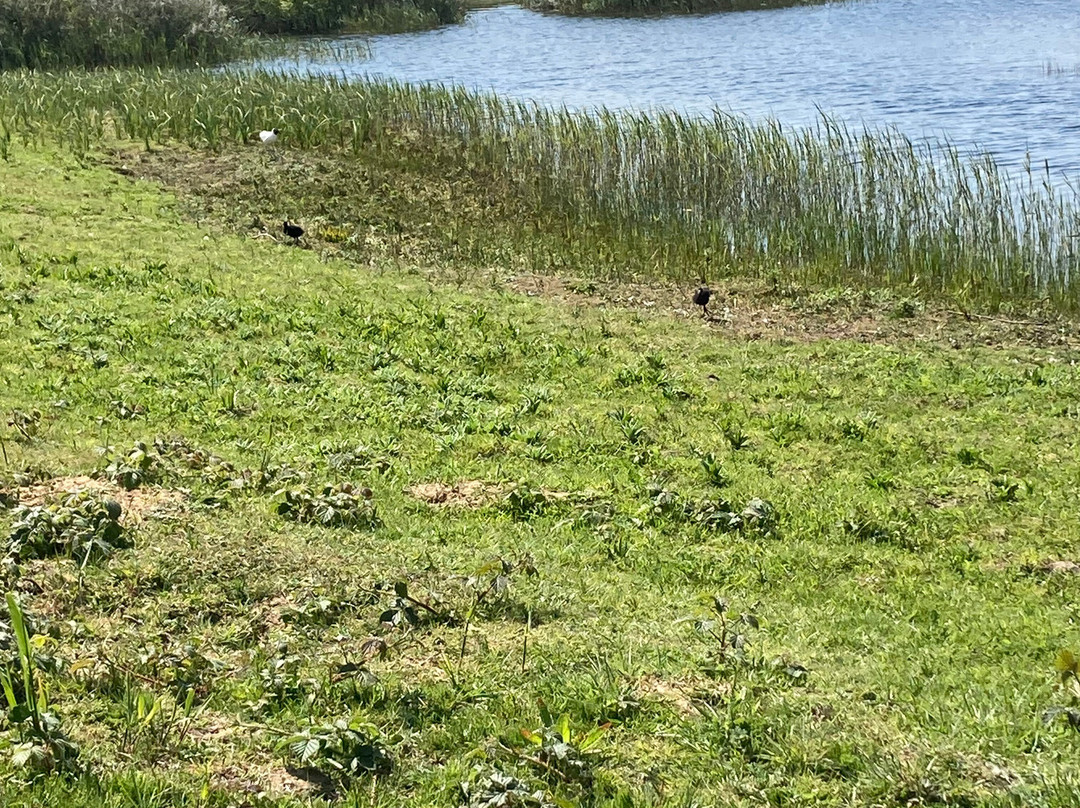 Sandwich Bay Bird Observatory-桑威治必去景点