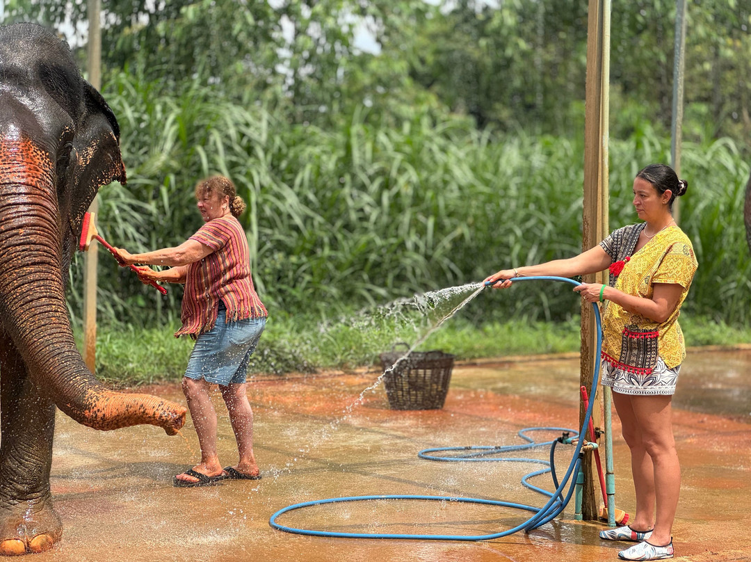 Phuket Elephant Care-奈通必去景点