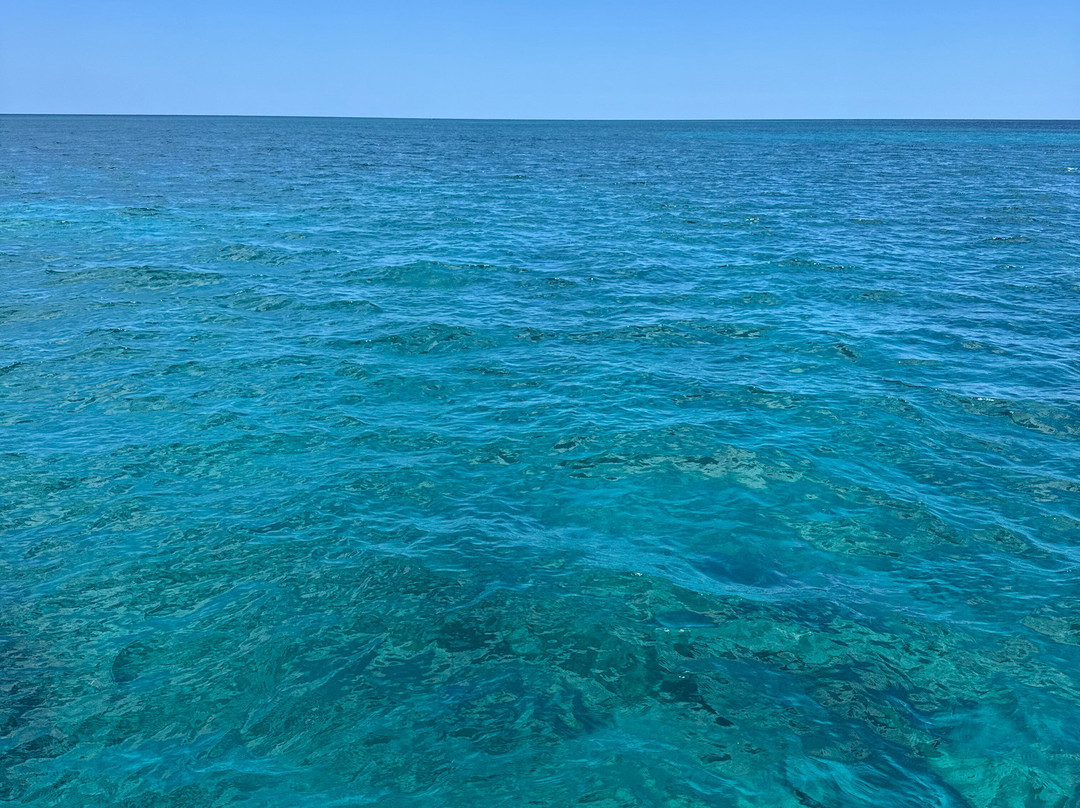 ScubaCaribe - Negril-内格里尔必去景点