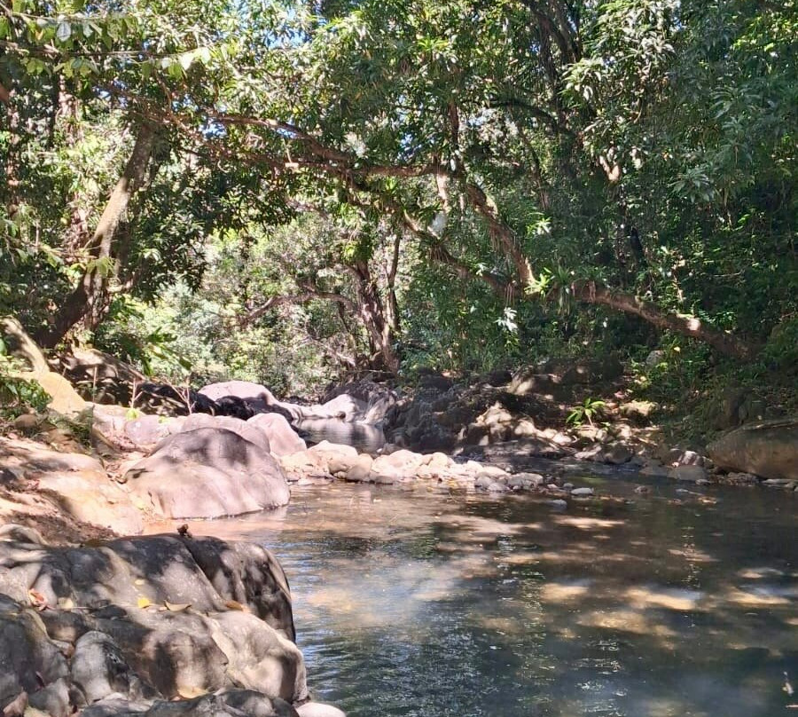 Yalodé Kayak Canyon Bain De Forêt-瓜德罗普岛必去景点
