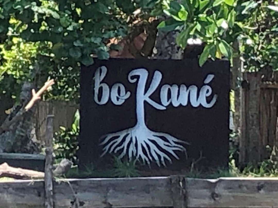 Bokane