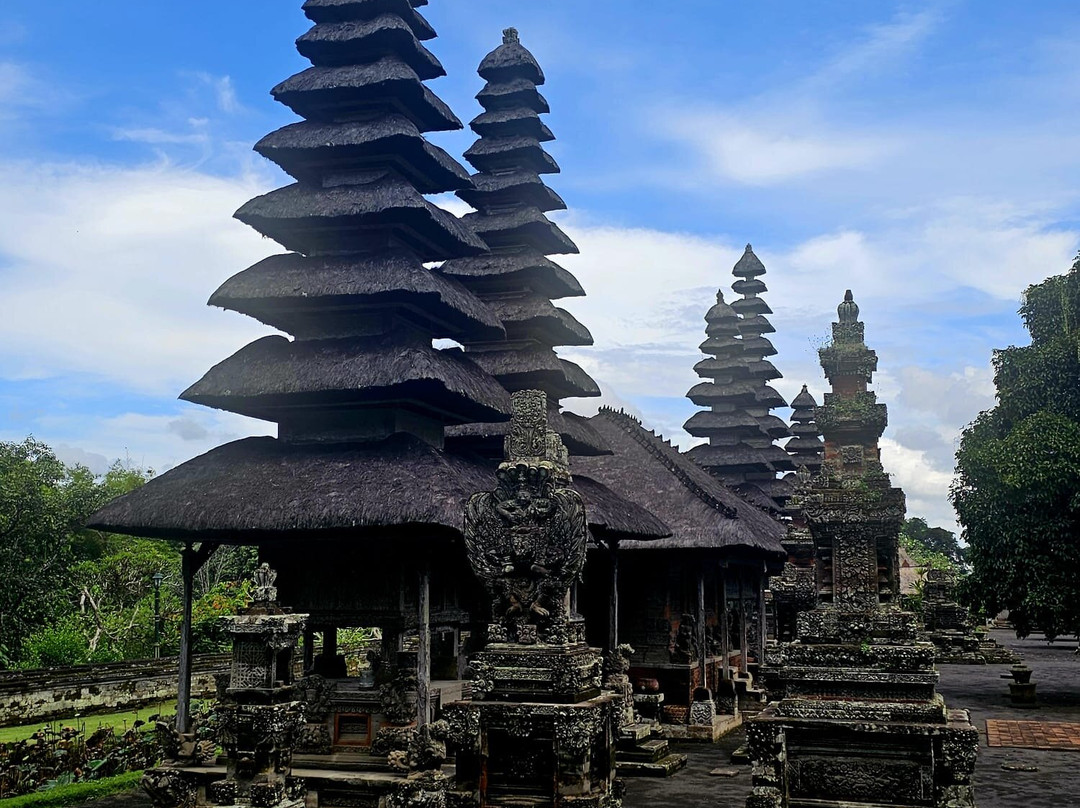 Bali Chauffeur - Day Tours-沙努尔必去景点
