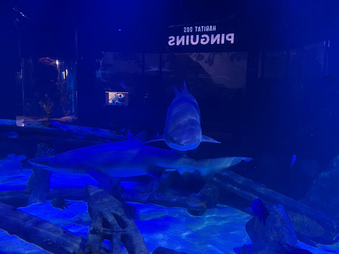 Oceanic Aquarium-康泊琉海水浴场必去景点