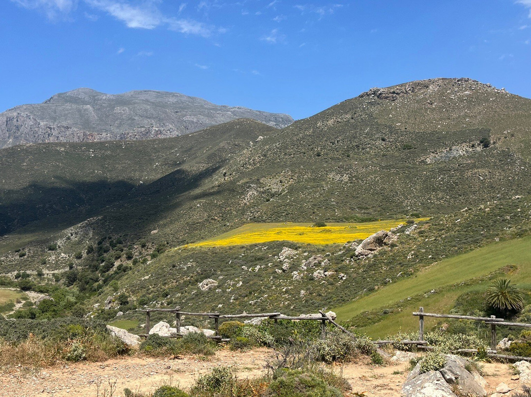 Kourtaliotiko Gorge-Plakias必去景点