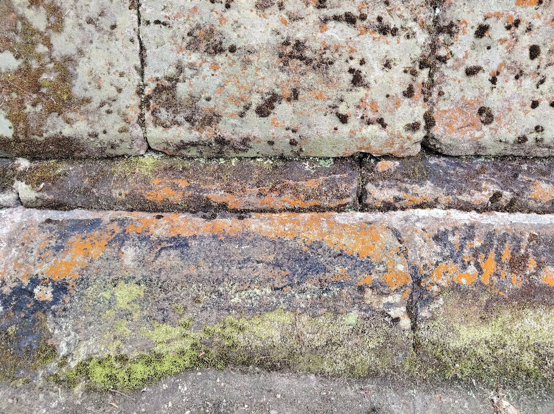 Brinkburn Priory-Rothbury必去景点