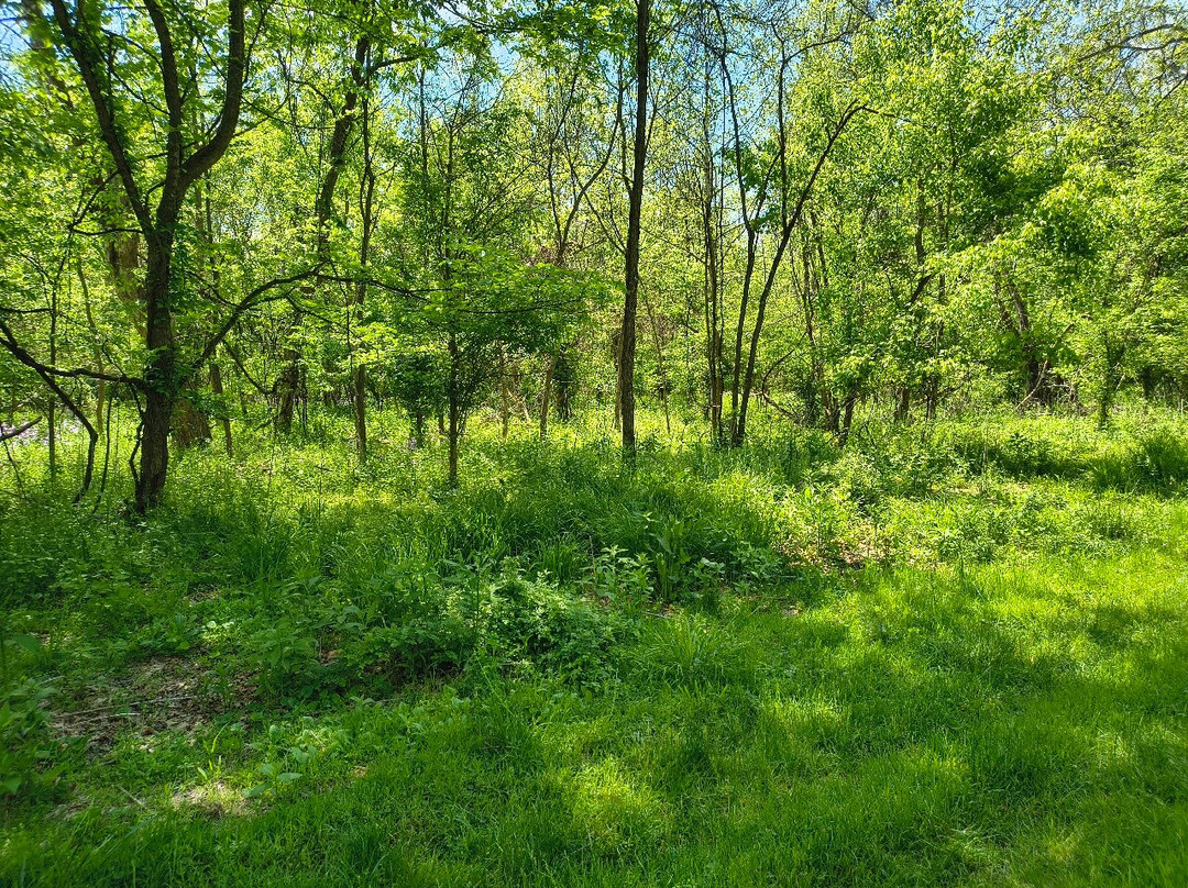 Sutersville Trailhead-Sutersville必去景点