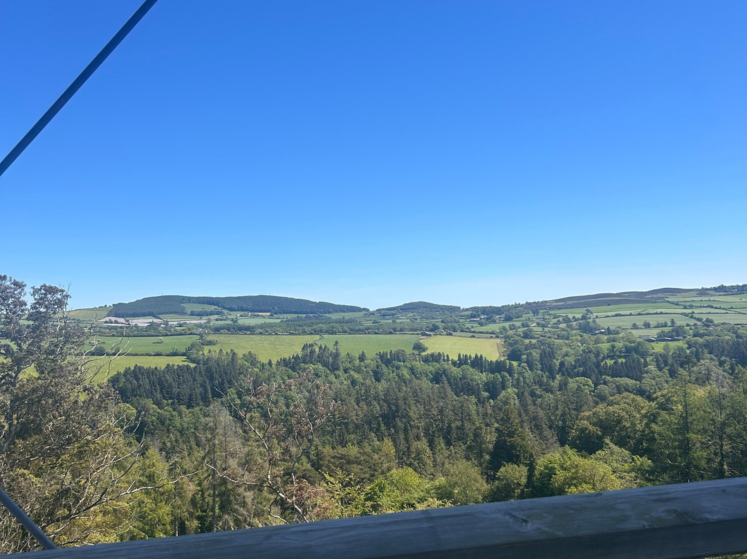 Treetop Walk Avondale-Rathdrum必去景点