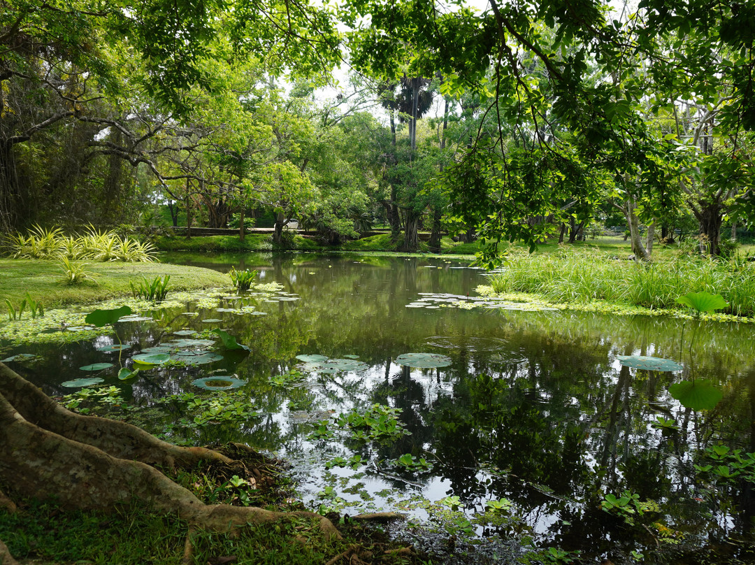 Tour In Lanka-尼甘布必去景点