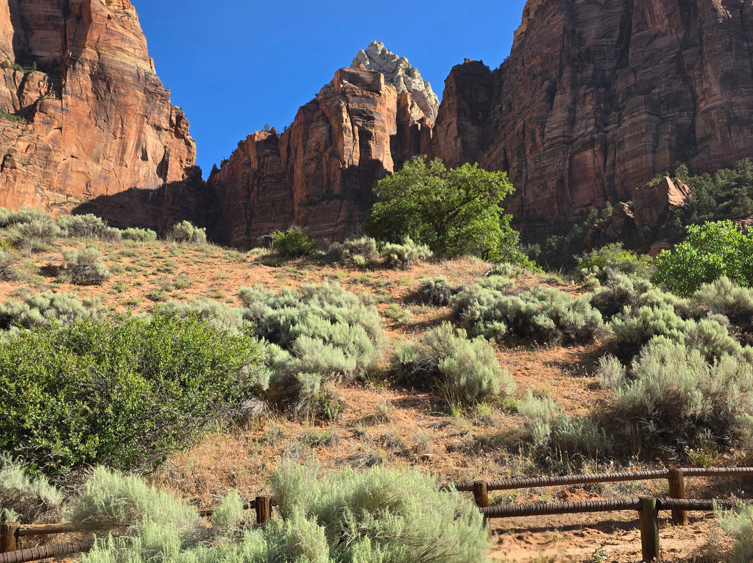Canyon Trail Rides-锡安国家公园必去景点