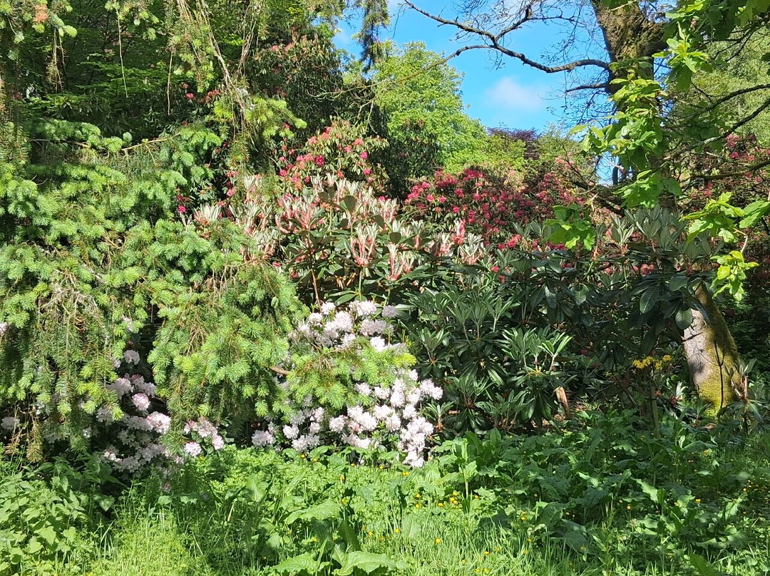 Galloway House Gardens-Newton Stewart必去景点