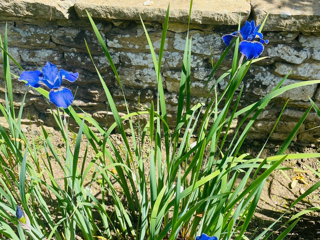University of Leicester Botanic Garden-Oadby必去景点