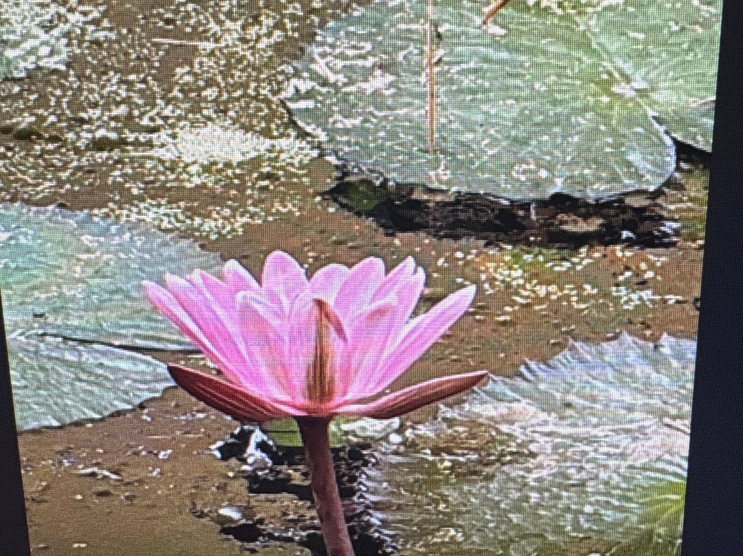 Nature Walk La Selva-Pueblo Tapao必去景点