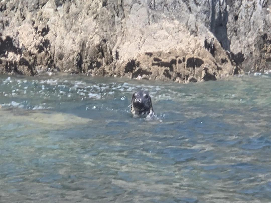 Sea Kayak Devon-达特茅斯必去景点