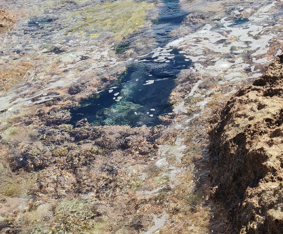 Hikutaveke Reef Pools-Hikutavake必去景点