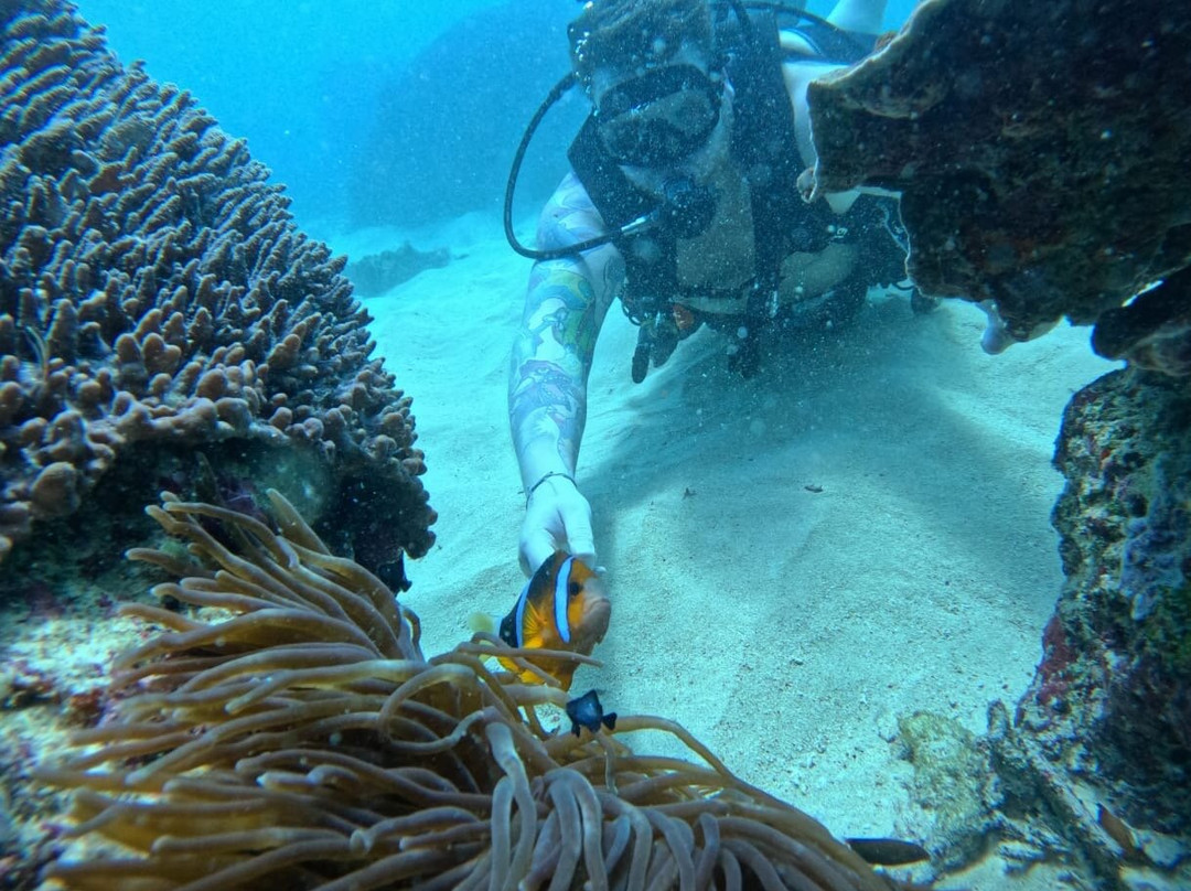Bali Hai Diving Adventures-蓝梦岛必去景点