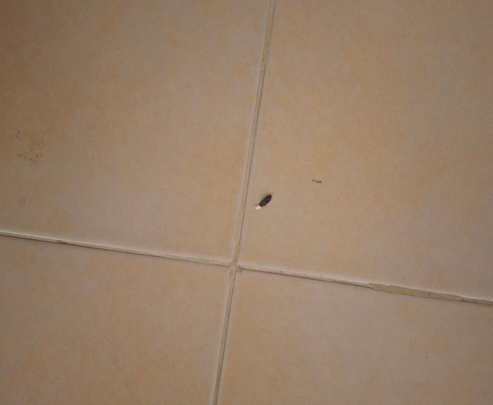 合艾盛泰乐酒店主图