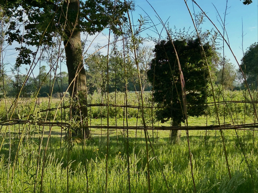 Cider Farm