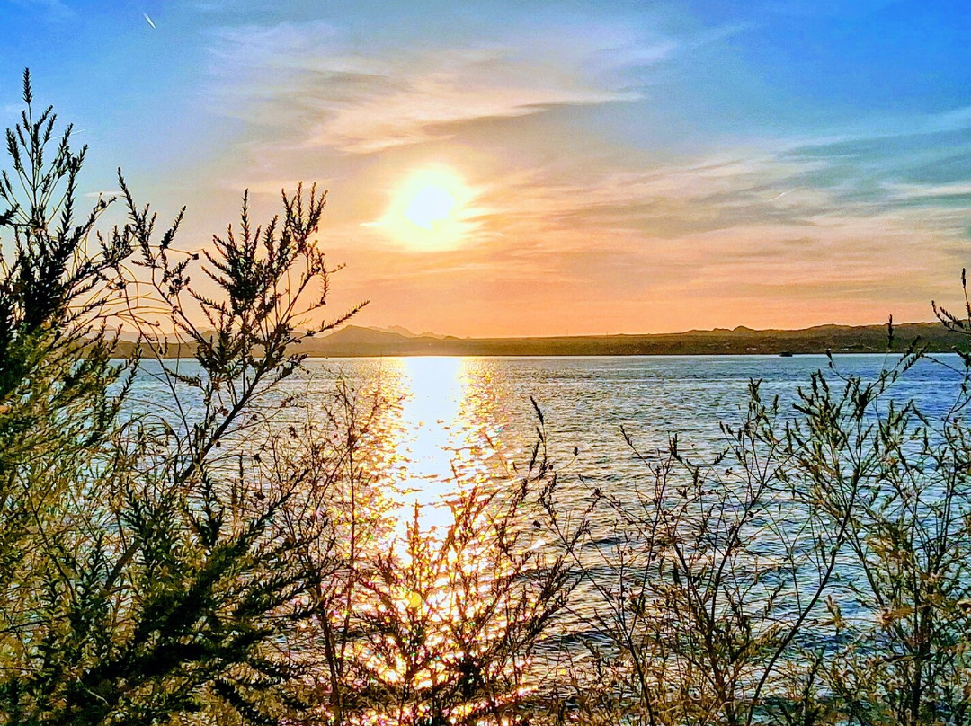 Lake Havasu State Park-哈瓦苏湖城必去景点