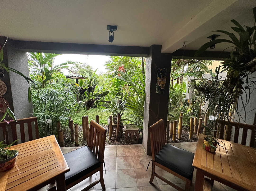 Pura Vida Hotel主图