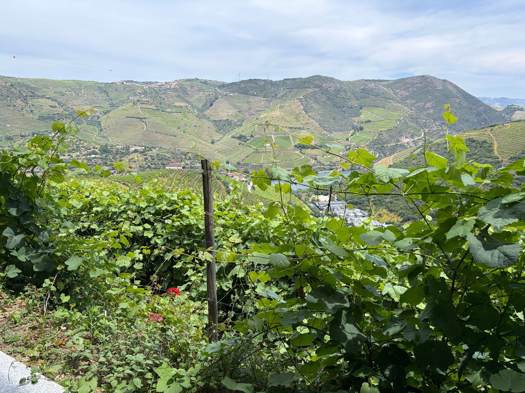 Quinta de Santa Eufémia-Lamego必去景点