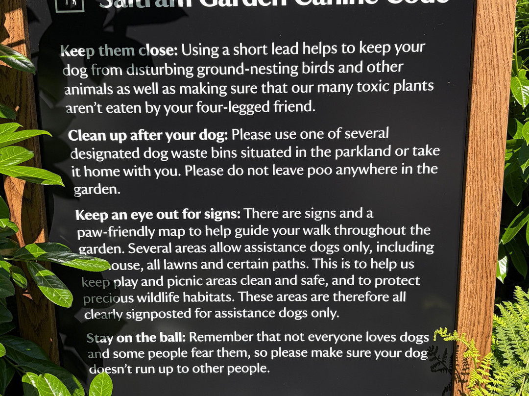Saltram (National Trust)-普利茅斯必去景点