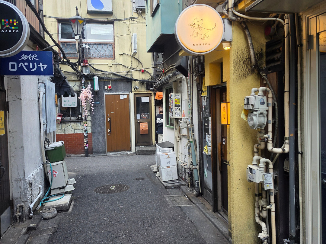 新宿黄金街-Kabukicho必去景点