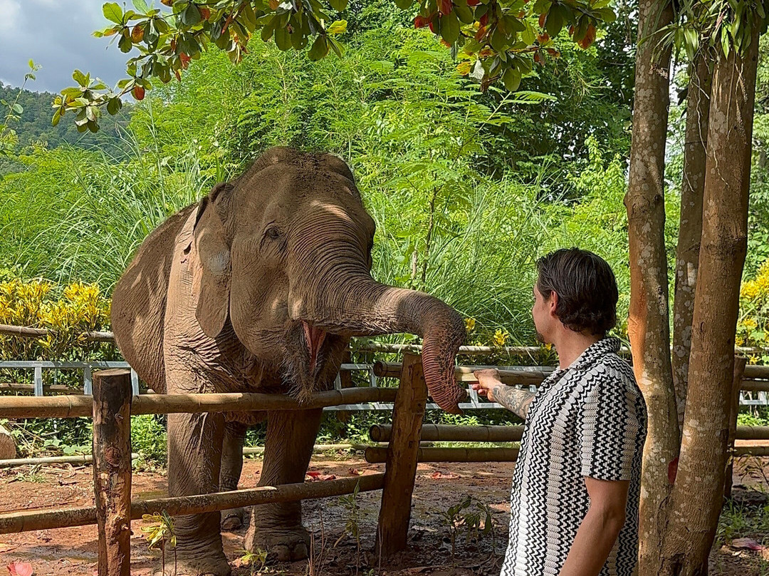 Elephant Sanctuary Care Park-清迈必去景点