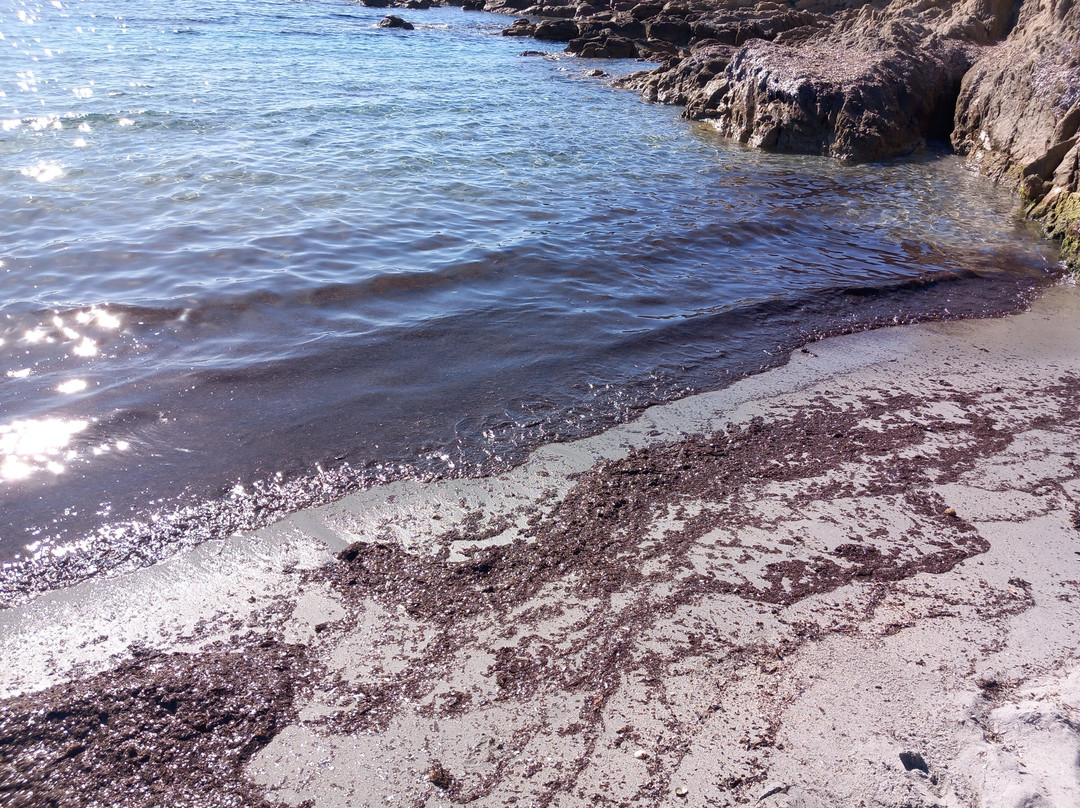 Cala Liberotto-奥罗塞必去景点